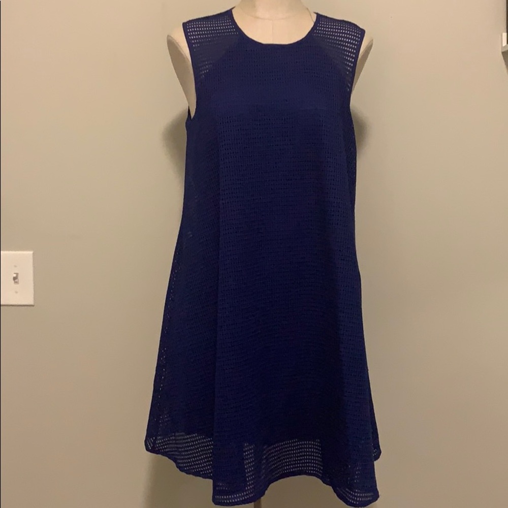 Susana Monaco blue swing dress